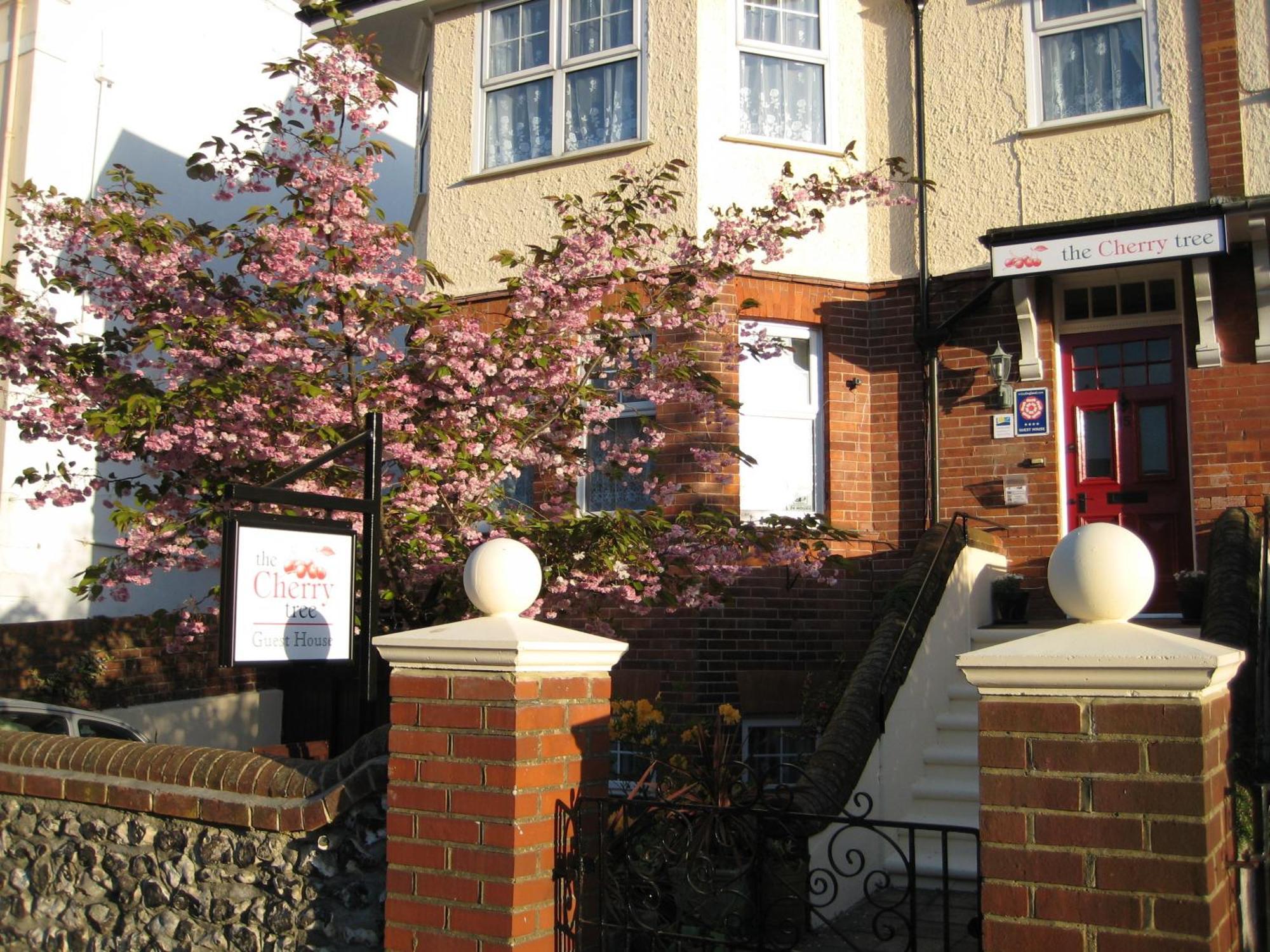 The Cherry Tree Guest House Eastbourne Eksteriør bilde