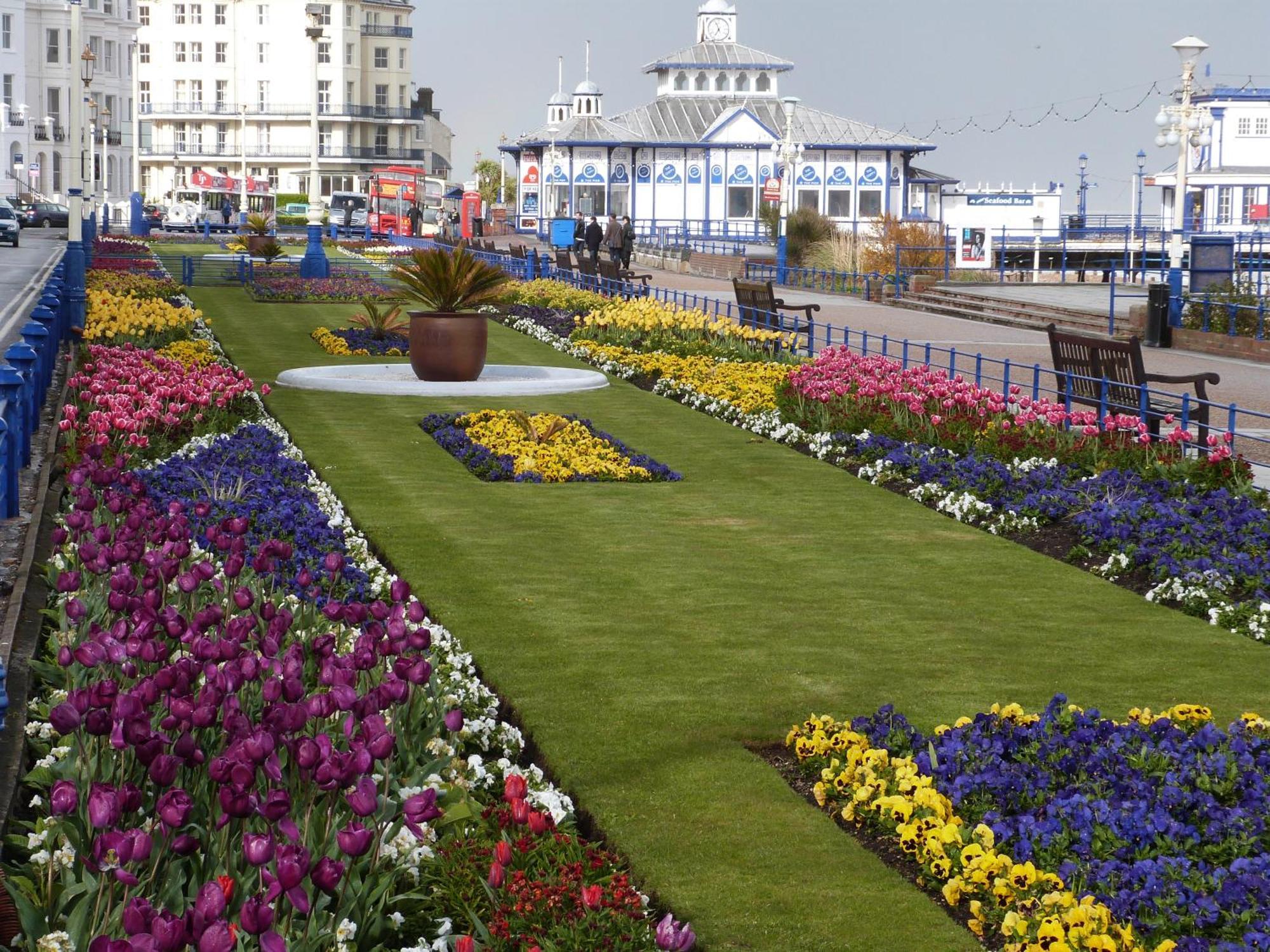 The Cherry Tree Guest House Eastbourne Eksteriør bilde