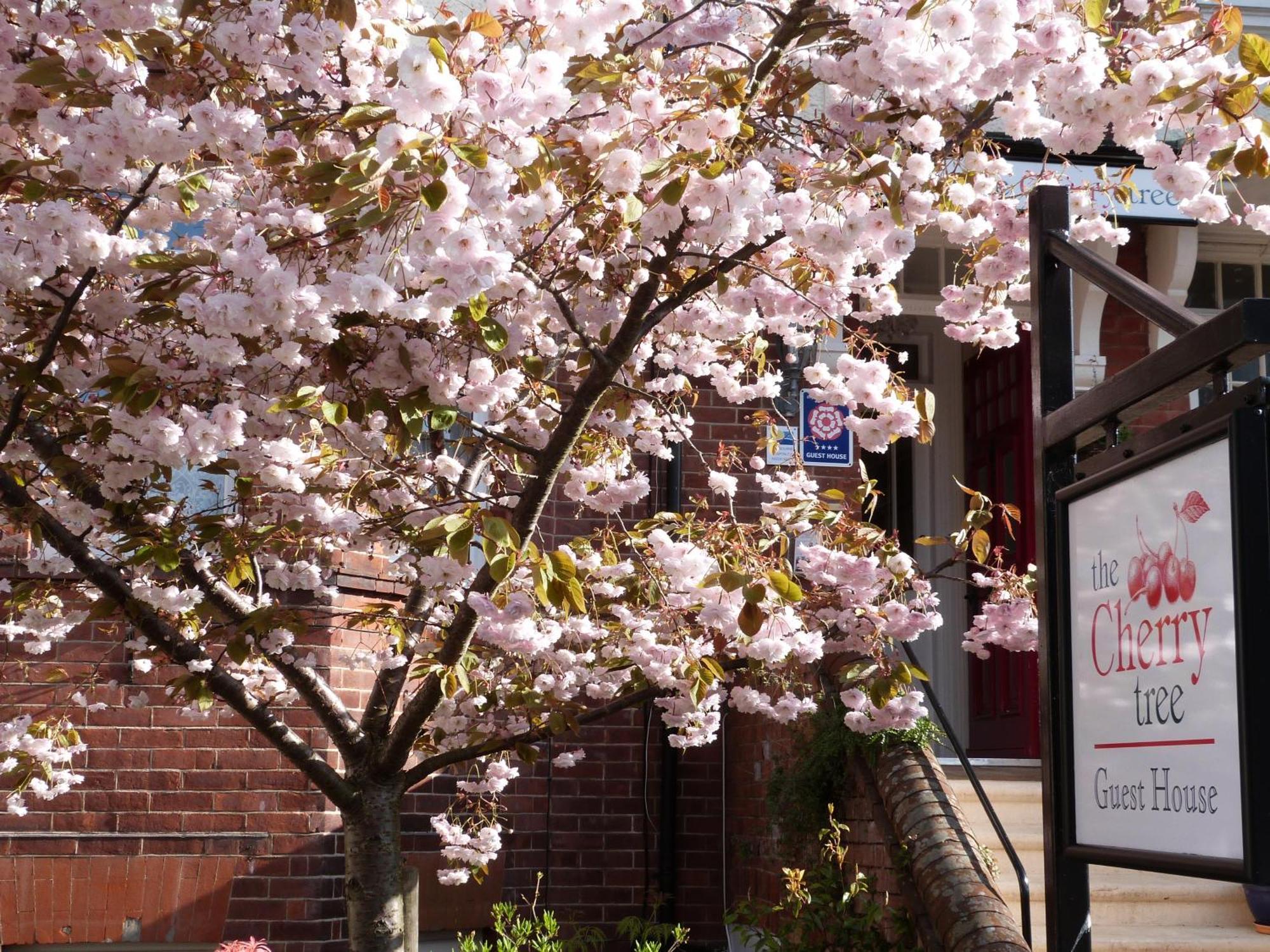 The Cherry Tree Guest House Eastbourne Eksteriør bilde