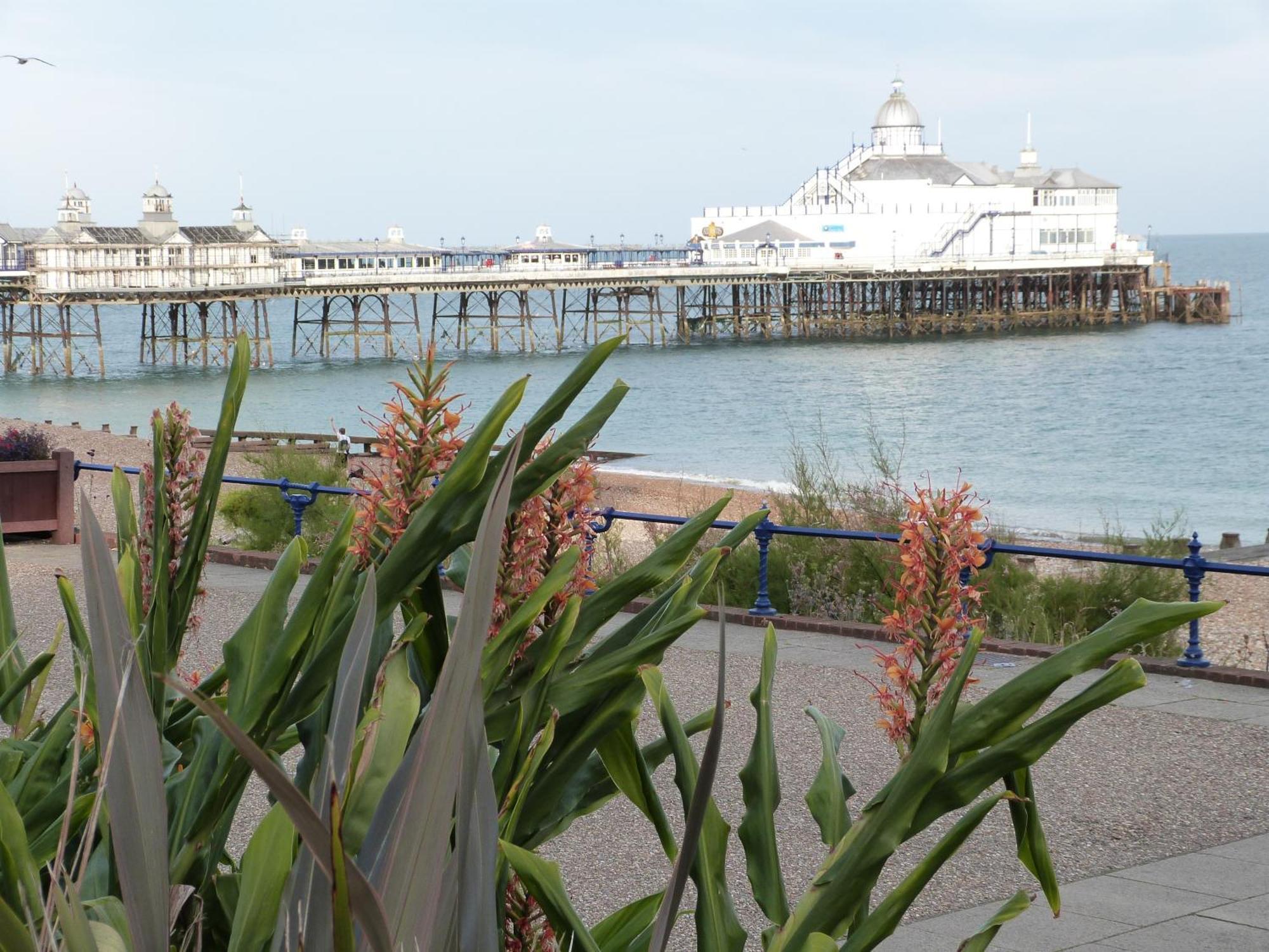 The Cherry Tree Guest House Eastbourne Eksteriør bilde